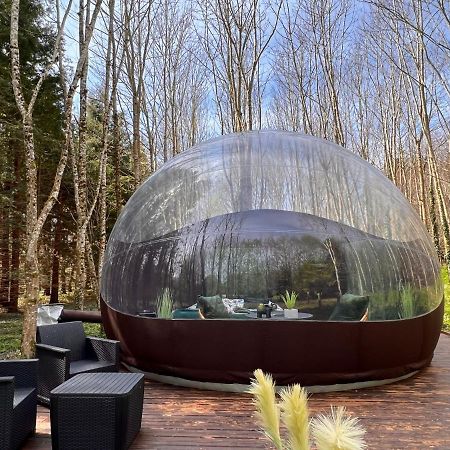 Logement insolite Bubble jungle Saint-Évarzec Eksteriør bilde