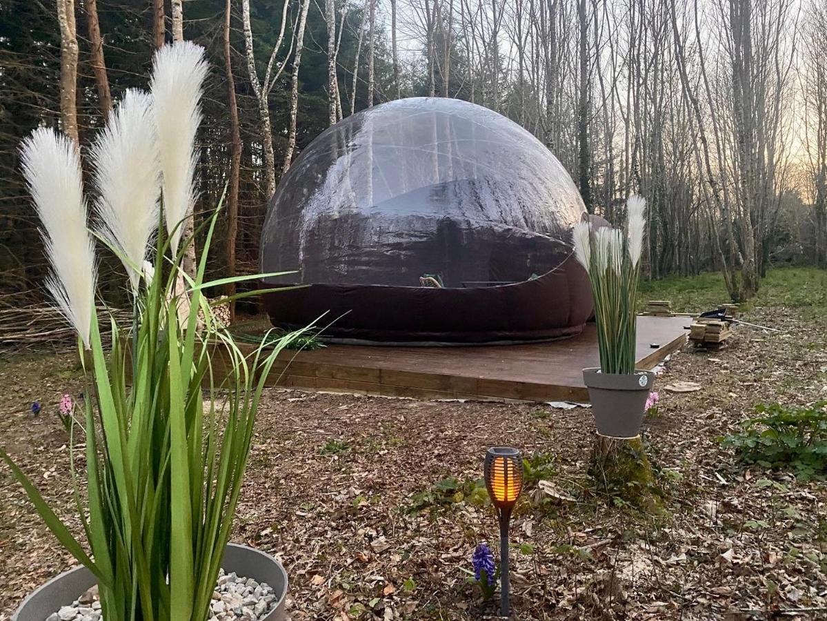 Logement insolite Bubble jungle Saint-Évarzec Eksteriør bilde