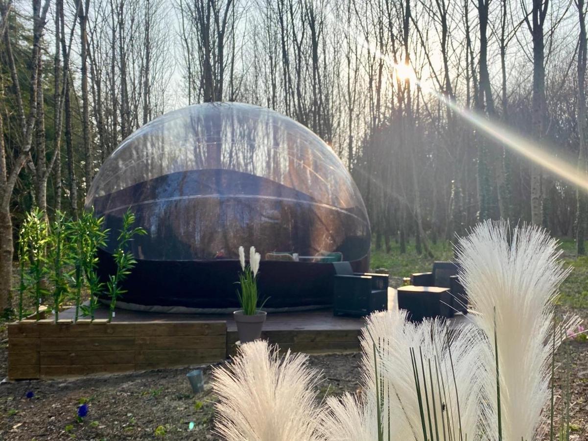 Logement insolite Bubble jungle Saint-Évarzec Eksteriør bilde