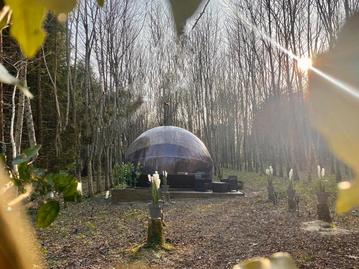 Logement insolite Bubble jungle Saint-Évarzec Eksteriør bilde