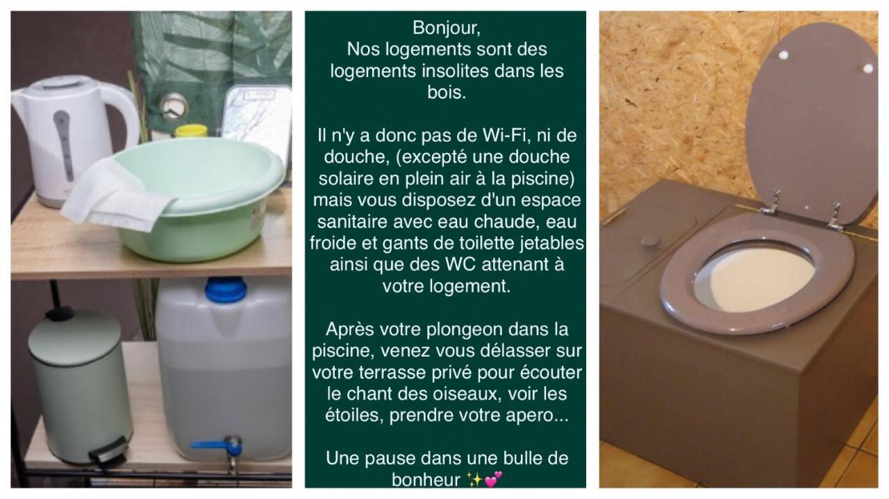 Logement insolite Bubble jungle Saint-Évarzec Eksteriør bilde